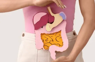 Digestion